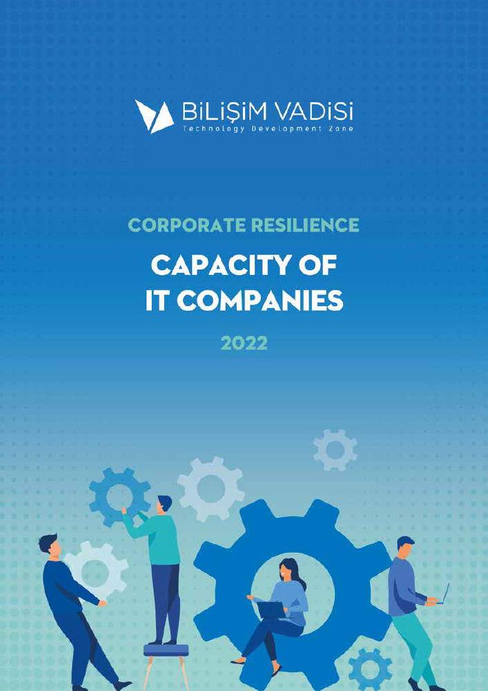 Corporate Resilience Capacity of IT Companies 2022